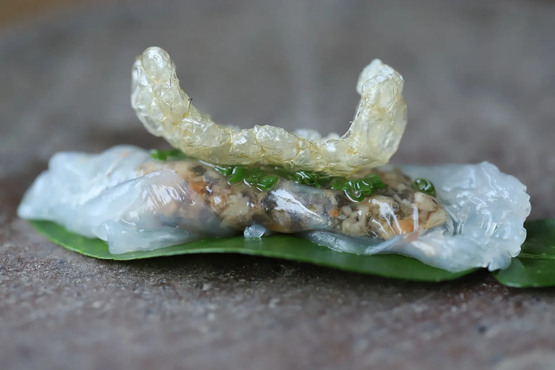 Hình ảnh 2