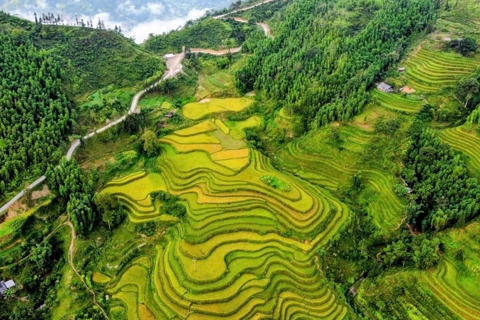 Mu Cang Chai harvest season: A masterpiece in northwest Vietnam