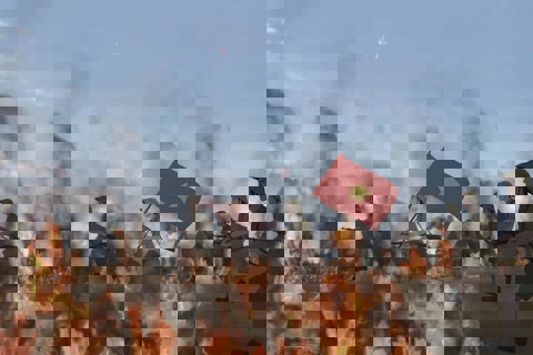 Celebrating Vietnamese history through animation films