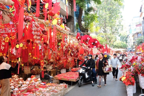 Vietnamese travelers favor domestic trips for tet 2026, Agoda says