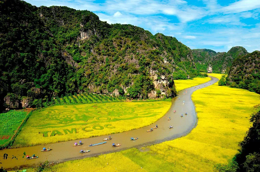 Hình ảnh 2