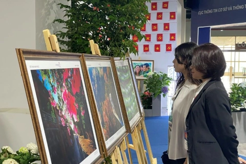 Vietnam marks 80 years of independence with Happy Vietnam exhibition
