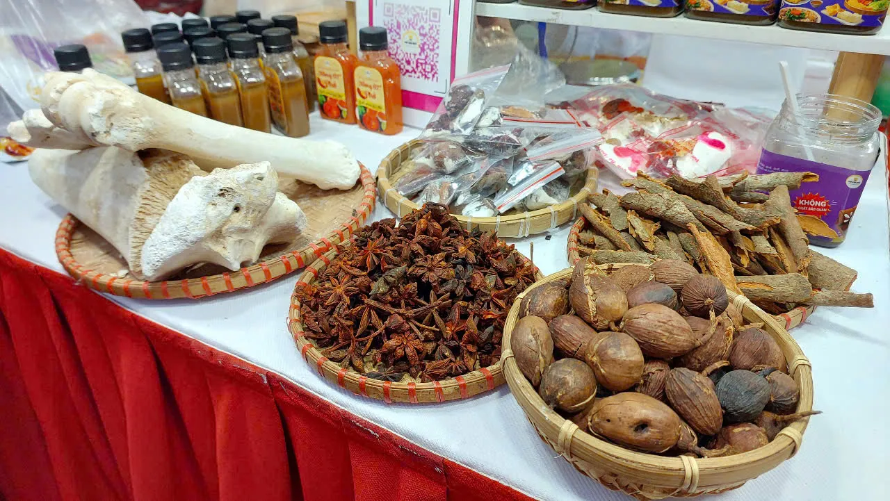 Hình ảnh 3
