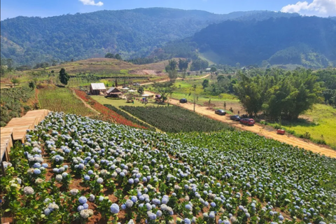 Lam Dong's tourism and culture to shine in Hanoi