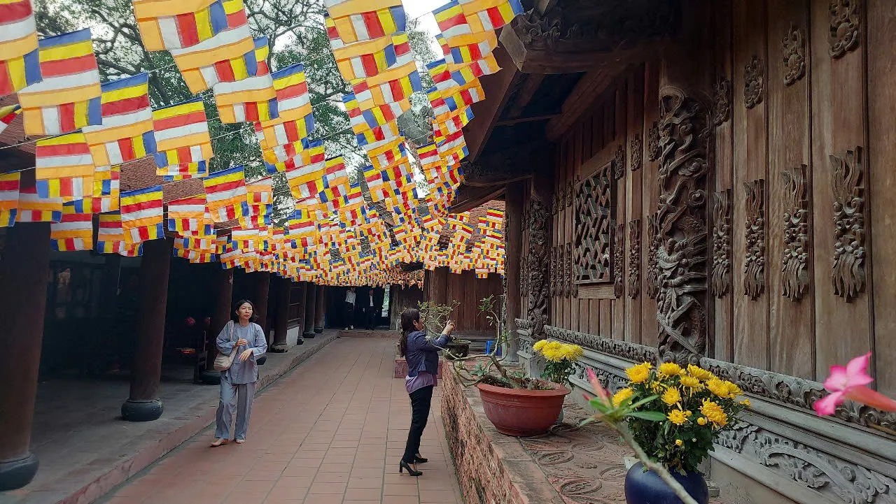 Hình ảnh 3