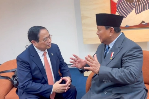 Vietnam, Indonesia to push for rice trade agreement