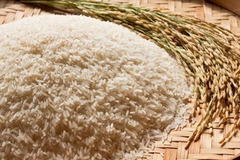 Philippines remains top buyer of Vietnamese rice in H1