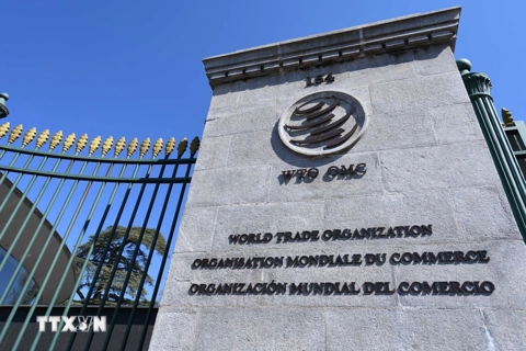 Vietnam joins WTO appeal mechanism to strengthen global trade stability and trust
