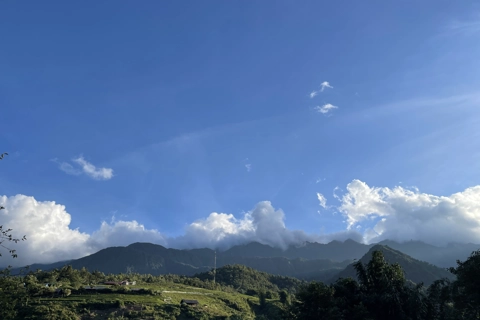 Vietnam news in brief - June 19