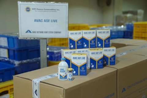 Philippines imports 340,000 Vietnamese vaccine doses to fight African swine fever