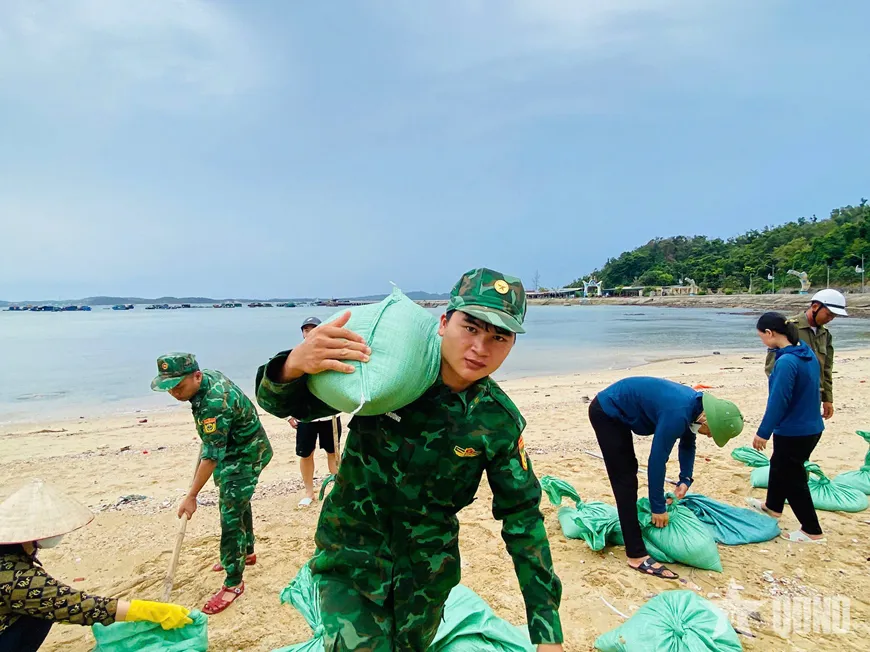 Hình ảnh 1