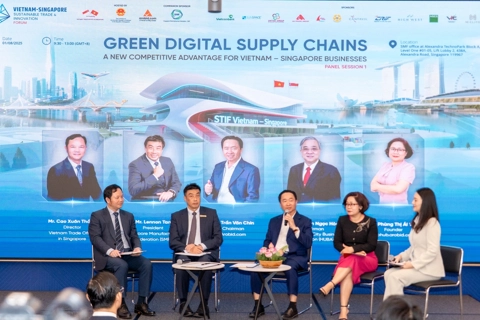 Vietnam, Singapore unveil first joint B2B e-commerce platform
