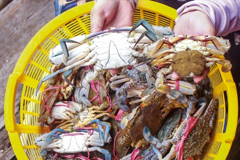 Vietnam’s crab exports hit decade-high in H1 
