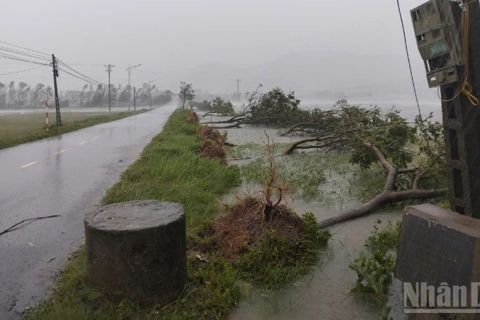 Prime Minister demands highest-level preparedness, emergency response for Typhoon Ragasa