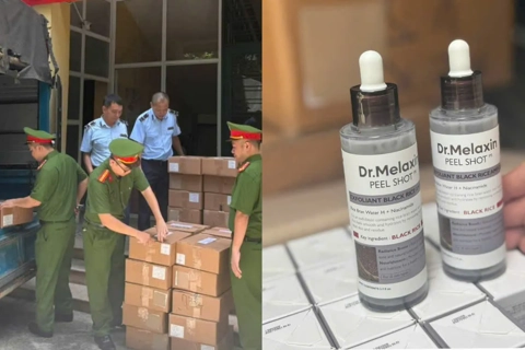 Hanoi seizes large haul in illegal trade crackdown