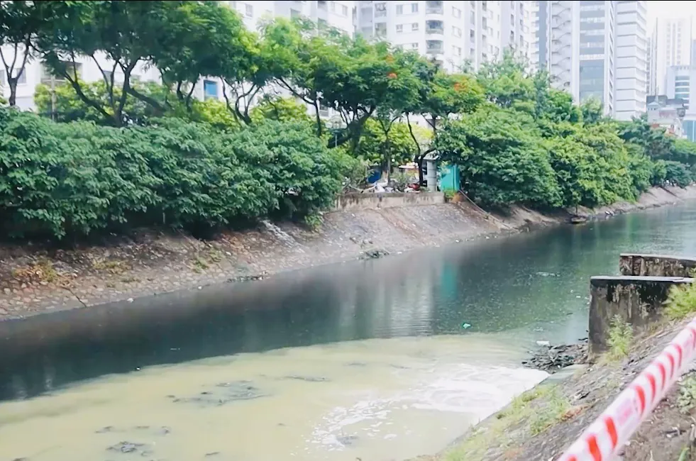 Hình ảnh 3