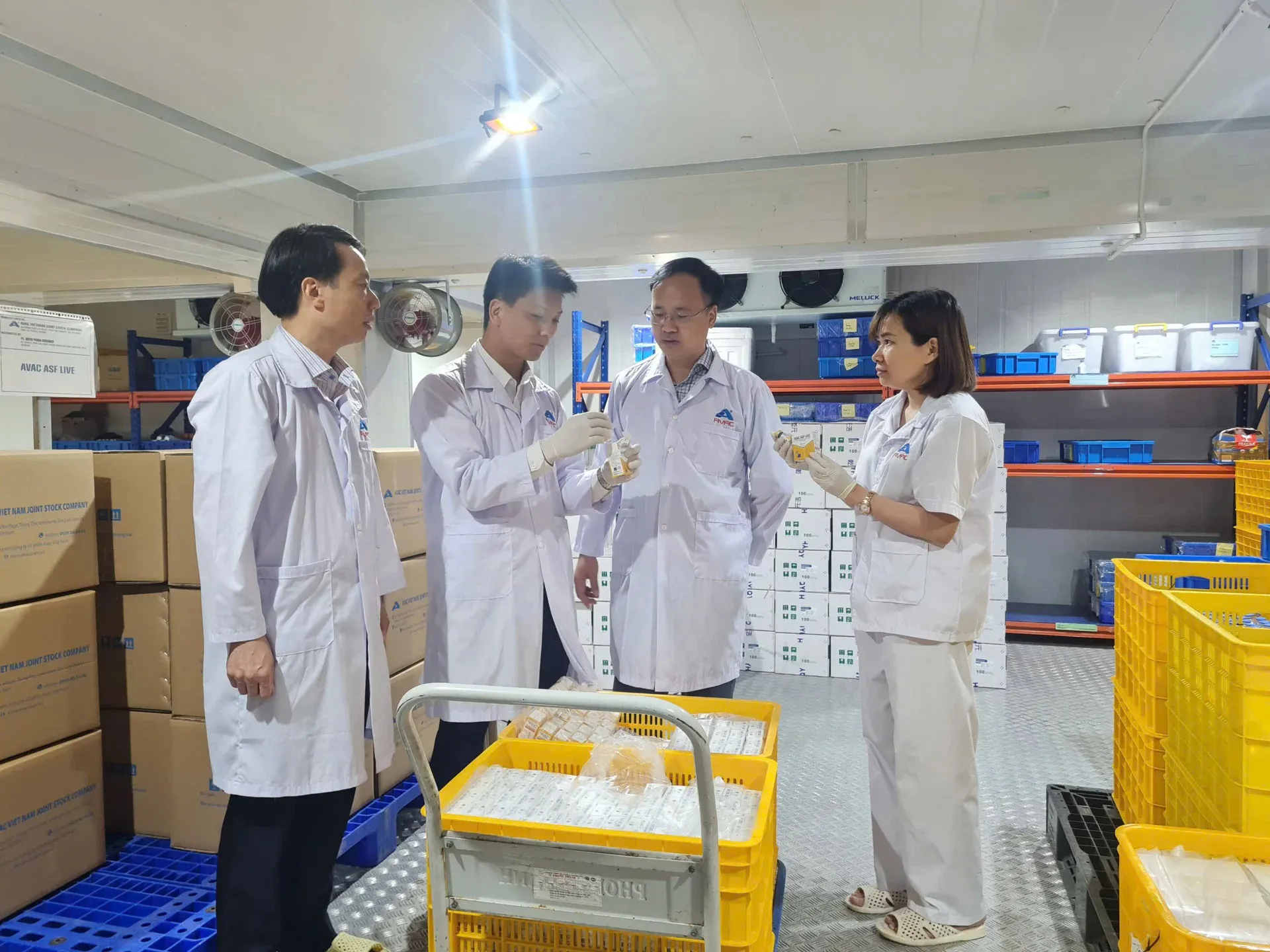 Hình ảnh 1