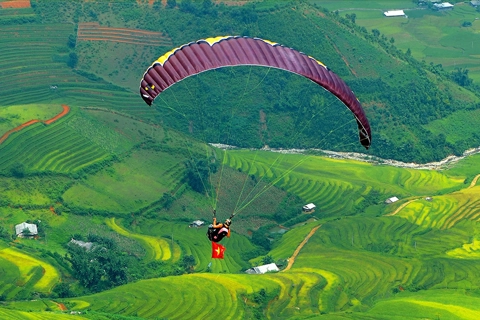 Vietnam news in brief - June 5