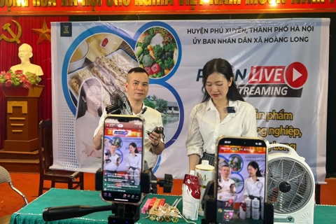Hanoi's district excels in livestream shopping success  