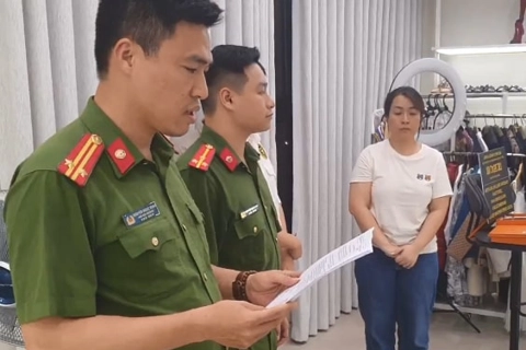 Hanoi woman detained for evading taxes on $33 million online business