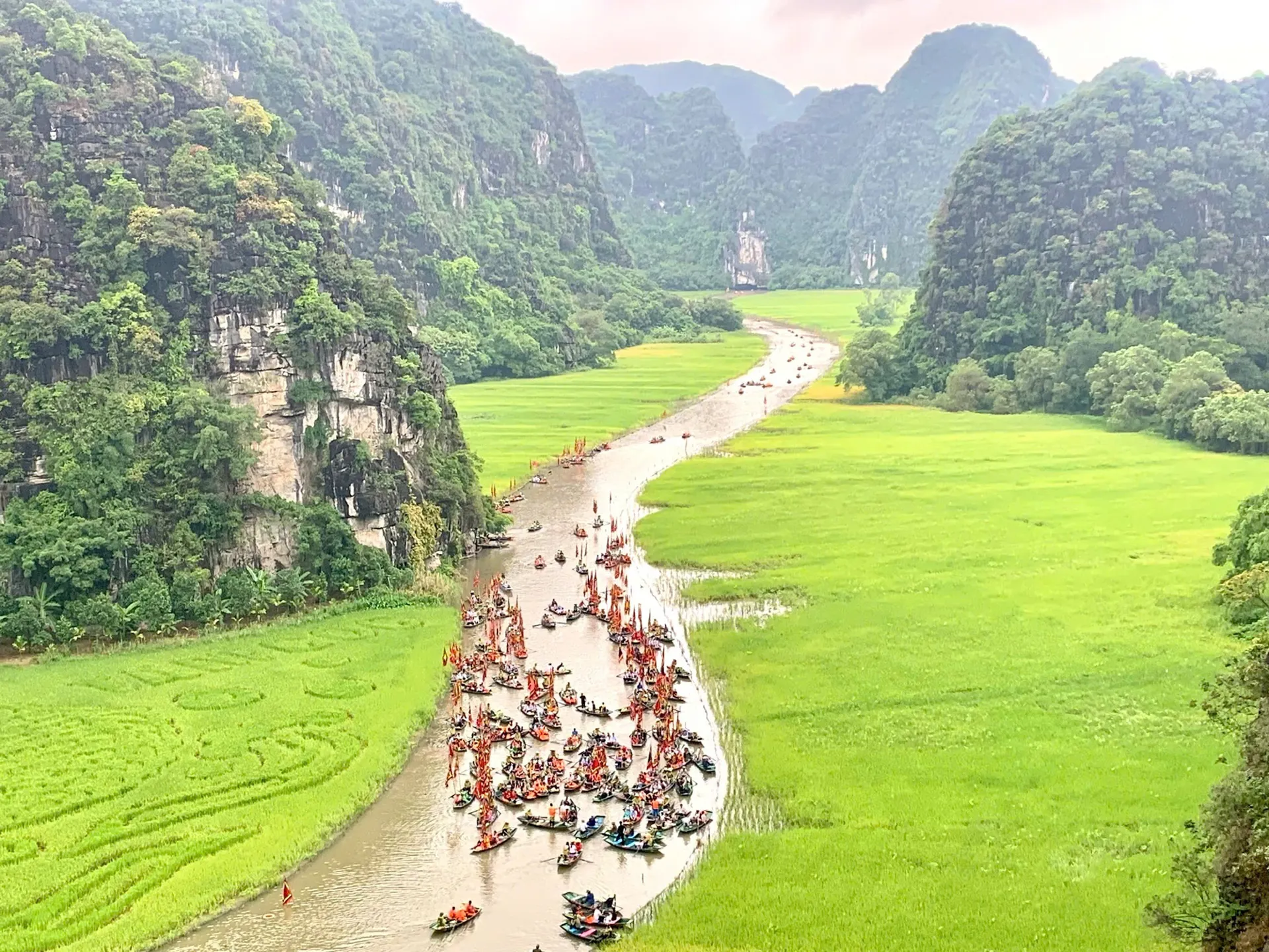 Hình ảnh 2