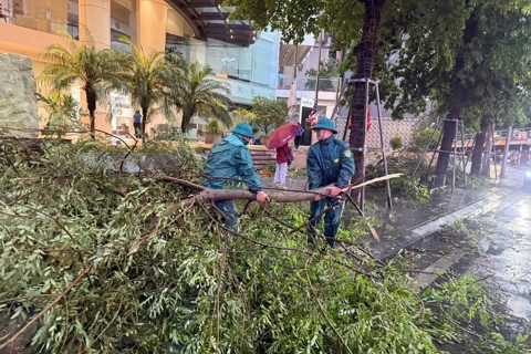 Phường Đống Đa triển khai công tác ứng phó với cơn bão số 3 Wipha