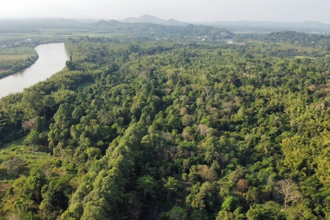 Vietnam opens door to foreign carbon credit traders
