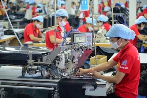 Vietnam sees record startup surge after private sector resolution
