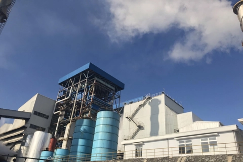 Erex seeks to convert Vietnam’s coal plants to biomass in clean energy shift