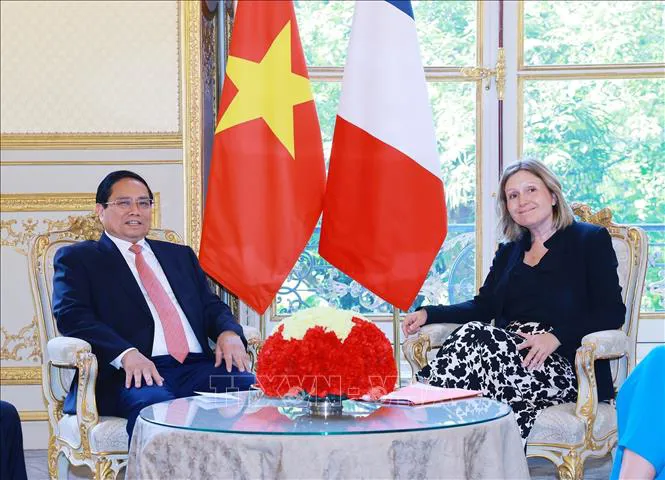 Hình ảnh 3