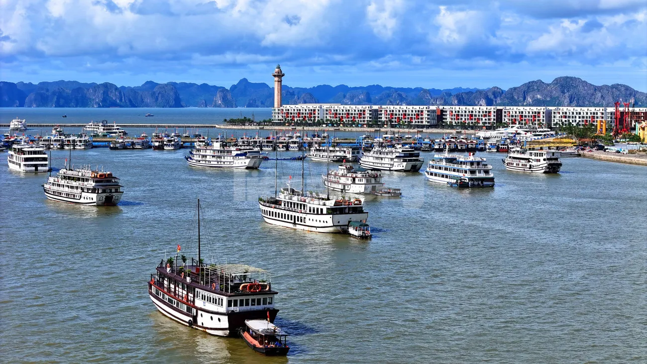 Hình ảnh 1