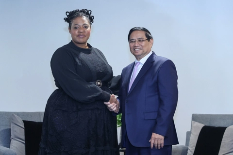 Vietnam, South Africa to deepen oil and renewable ties