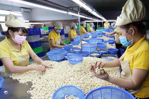 From tariffs to tactics: Vietnam’s game plan to stay competitive in US market
