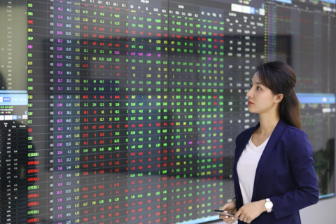 Vietnam bourse shows positive growth during H1