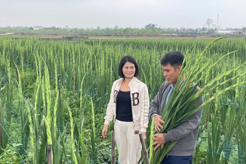 Vietnam aims to lead SEA in climate-smart farming by 2035