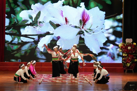 “Unsung Heroes”: When voices of workers and communities in Vietnam fully heard