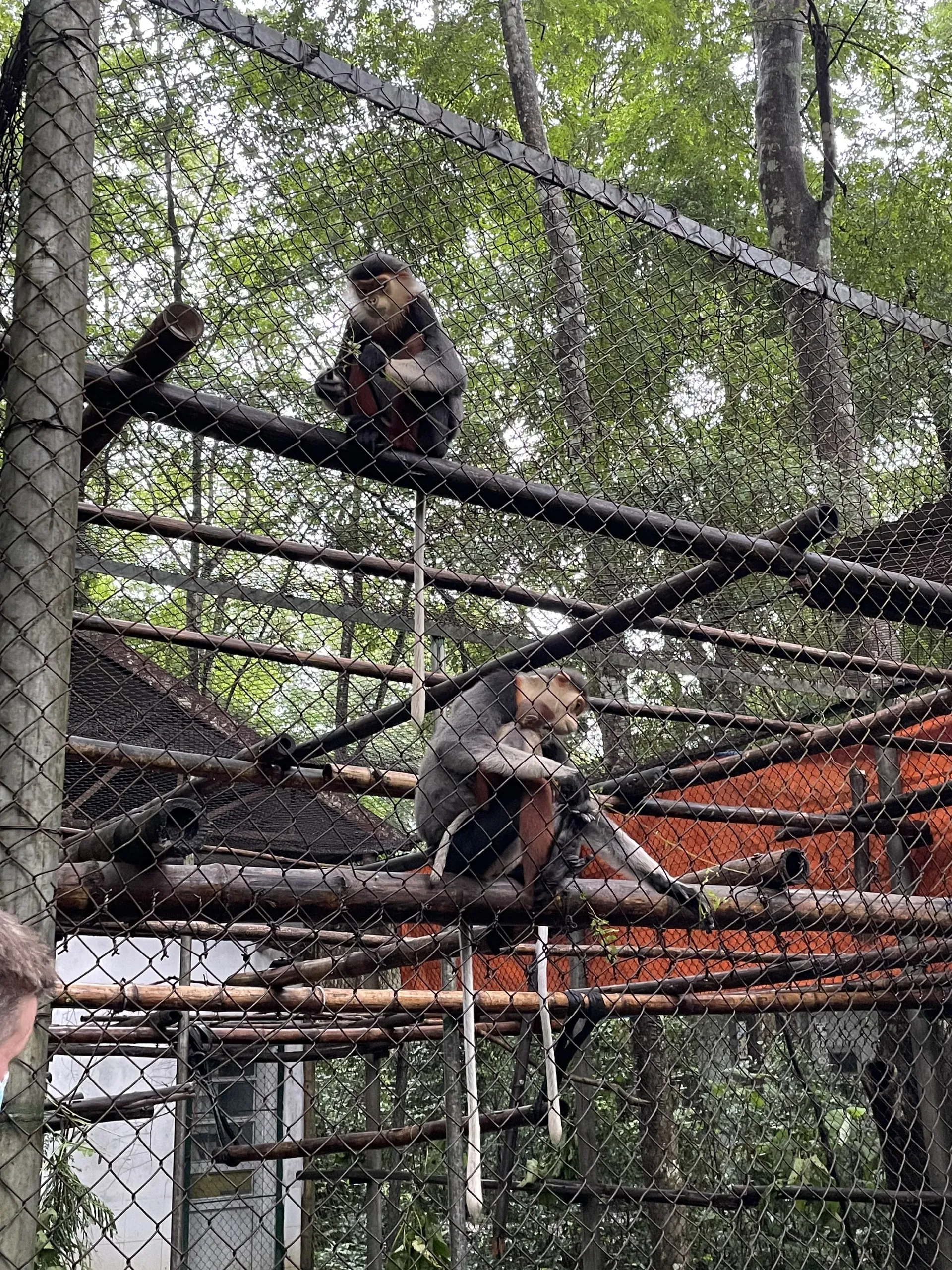 Hình ảnh 3