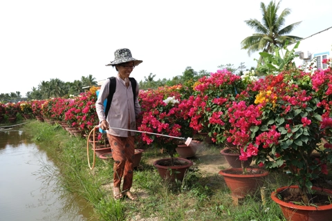 Financing the Future: A breakthrough climate initiative for the Mekong Delta