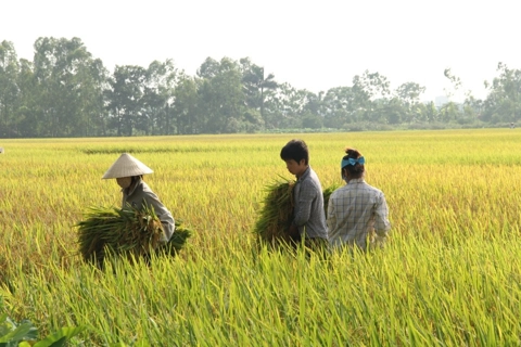 Vietnam news in brief - June 25