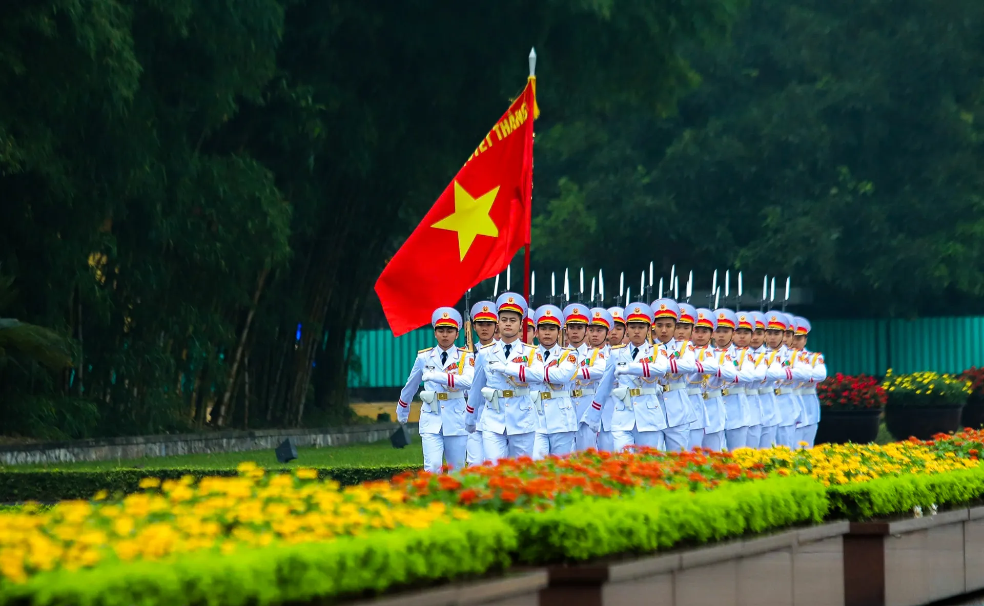 Hình ảnh 3