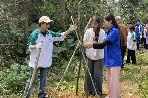 International Day of Forests 2025 observed in Vietnam
