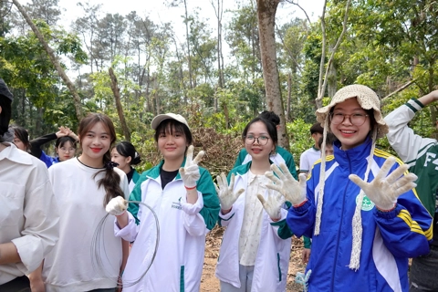 Innovative approaches key to forest protection in Vietnam
