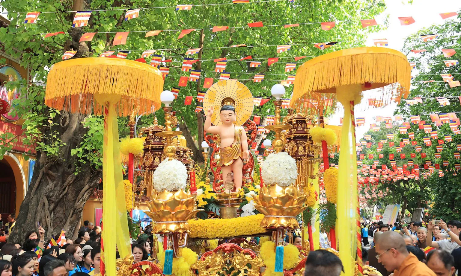 Hình ảnh 2