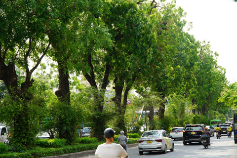 Hanoi launches tree-planting campaign for 2026