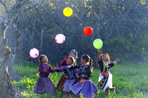 Vietnam reelected to UN Human Rights Council for third term with top Asia-Pacific votes