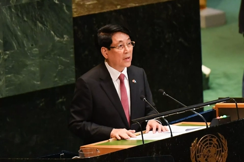 Peace and transformation matter to shape sustainable future: Vietnamese president
