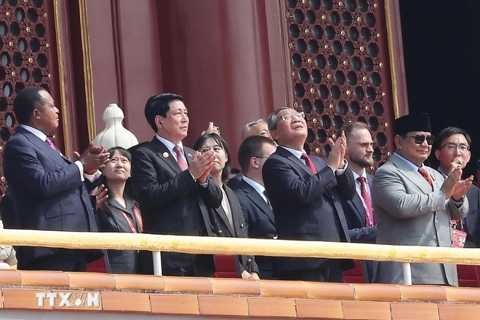 Vietnam's president attends 80th anniversary of victory over fascism