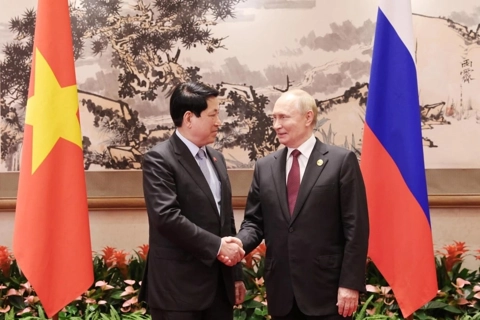 Vietnam, Russia promote negotiations on nuclear power cooperation

