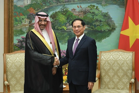 Vietnam proposes Saudi Arabia-backed oil hub to serve Southeast Asia