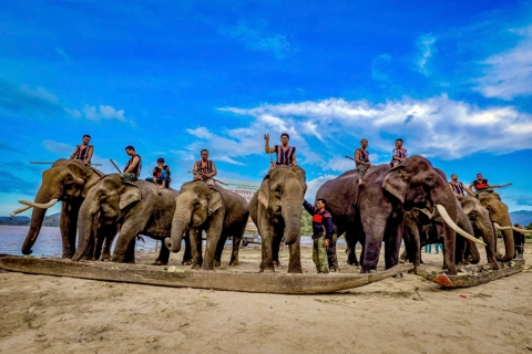 Elephant blessing ceremony – sacred tradition in Vietnam’s Central Highlands
